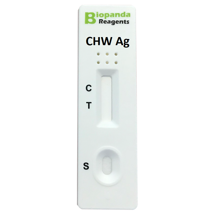 HW