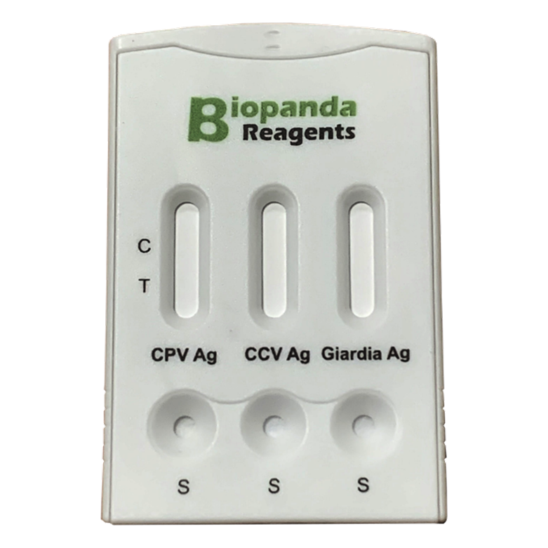 CPV-CCV-Gia