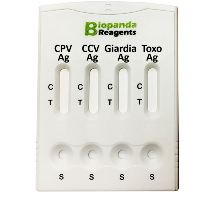 CPV-CCV-Gia-Tx